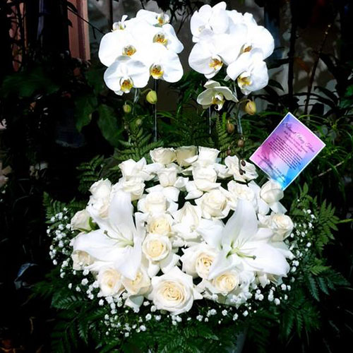 bunga-emja-7 bunga papan murah di jabodetabek, bunga papan murah di jakarta, bunga papan murah di jakarta barat, bunga papan selamat dan sukses murah di jakarta, bunga papan wedding murah di jakarta, harga karangan bunga, jual bunga meja di jakarta, jual bunga papan di jakarta, jual bunga papan duka cita murah di jakarta, jual bunga parsel buah di jakarta, jual hand bouquet di jakarta, jual standing flower di jakarta, toko bunga di jakarta, toko bunga online 24 jam di jakarta, toko bunga online di jakarta, toko karangan bunga online di jakarta, windy florist indonesia, windy florist indonesia
