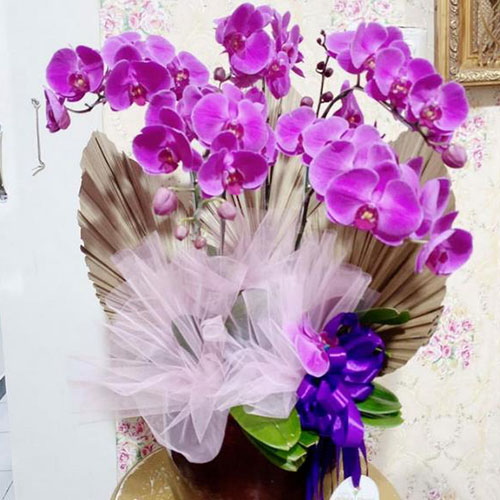 bunga-meja-3 bunga papan murah di jabodetabek, bunga papan murah di jakarta, bunga papan murah di jakarta barat, bunga papan selamat dan sukses murah di jakarta, bunga papan wedding murah di jakarta, harga karangan bunga, jual bunga meja di jakarta, jual bunga papan di jakarta, jual bunga papan duka cita murah di jakarta, jual bunga parsel buah di jakarta, jual hand bouquet di jakarta, jual standing flower di jakarta, toko bunga di jakarta, toko bunga online 24 jam di jakarta, toko bunga online di jakarta, toko karangan bunga online di jakarta, windy florist indonesia