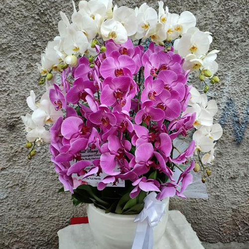 bunga-meja-4 bunga papan murah di jabodetabek, bunga papan murah di jakarta, bunga papan murah di jakarta barat, bunga papan selamat dan sukses murah di jakarta, bunga papan wedding murah di jakarta, harga karangan bunga, jual bunga meja di jakarta, jual bunga papan di jakarta, jual bunga papan duka cita murah di jakarta, jual bunga parsel buah di jakarta, jual hand bouquet di jakarta, jual standing flower di jakarta, toko bunga di jakarta, toko bunga online 24 jam di jakarta, toko bunga online di jakarta, toko karangan bunga online di jakarta, windy florist indonesia